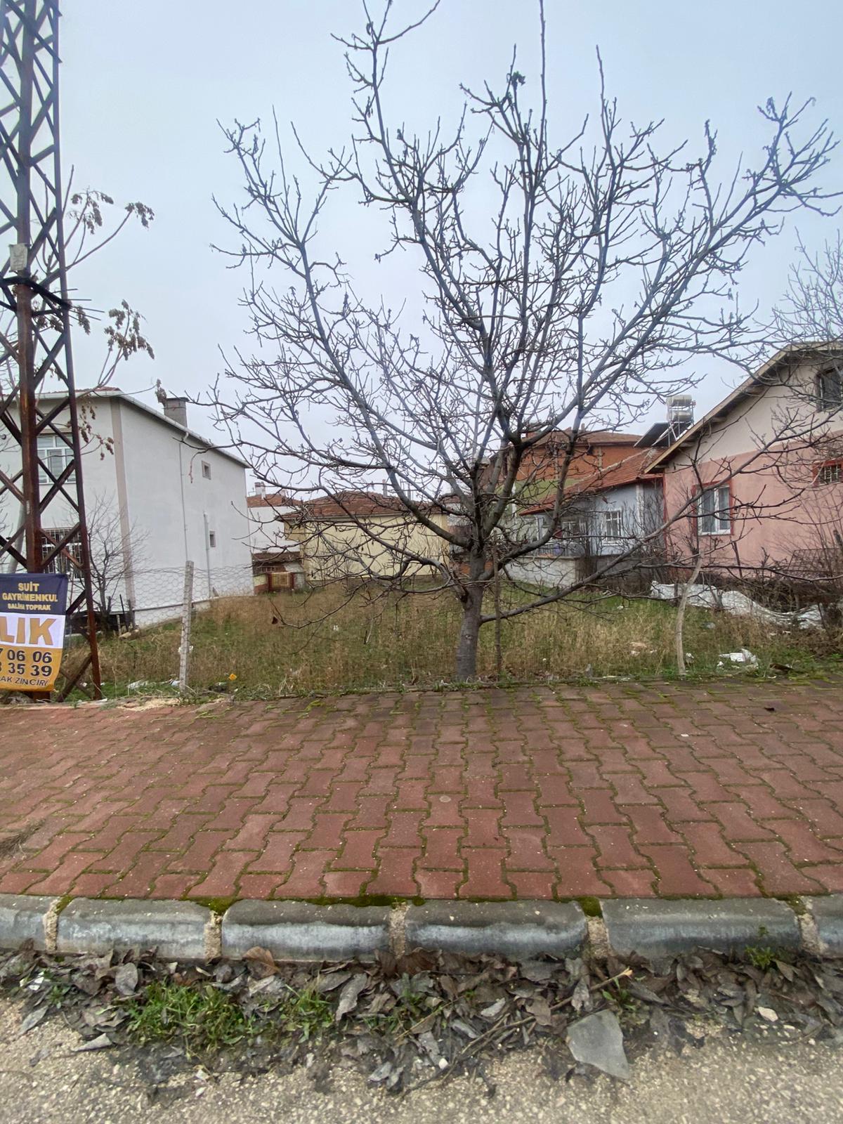 MABEL'DEN SALI PAZARINA YAKIN FIRSAT ARSA